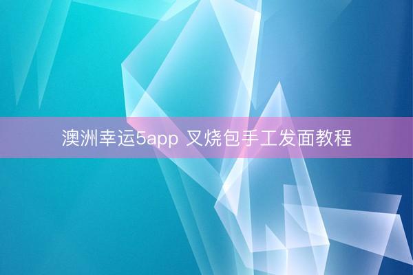 澳洲幸運5app 叉燒包手工發面教程