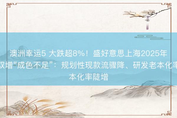 澳洲幸運(yùn)5 大跌超8%！盛好意思上海2025年牟利雙增“成色不足”：規(guī)劃性現(xiàn)款流驟降、研發(fā)老本化率陡增